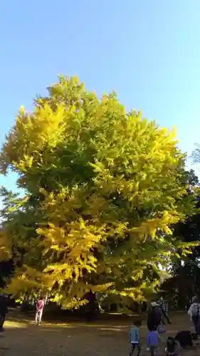 西蓮寺(茨城県)