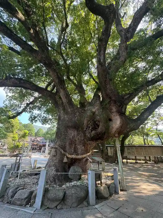 大麻比古神社(徳島県)