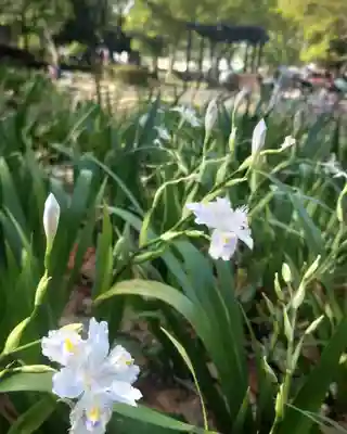 豊國神社(愛知県)