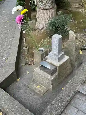 長光寺(神奈川県)