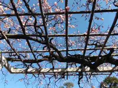 長善寺(東京都)