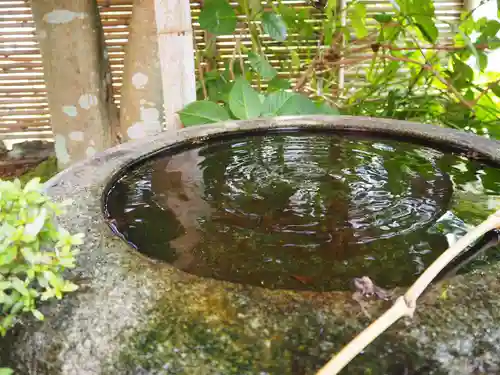 宝林寺の手水