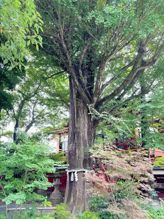 秩父神社(埼玉県)