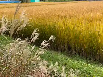 桂谷寺(兵庫県)