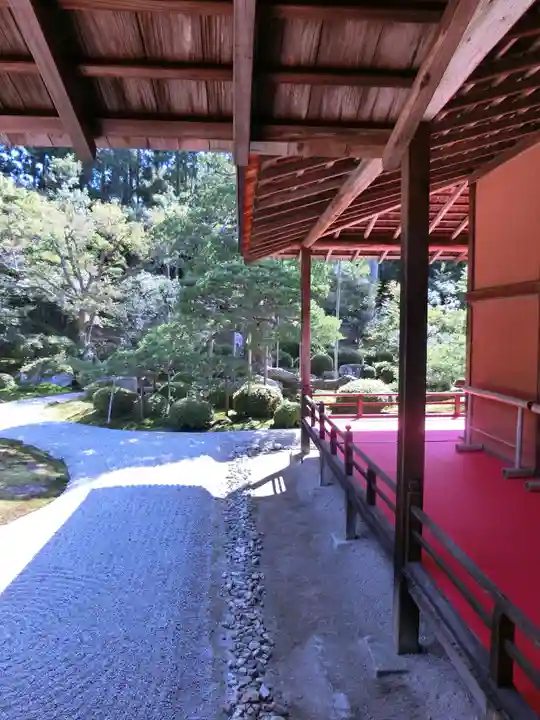 曼殊院門跡の庭園