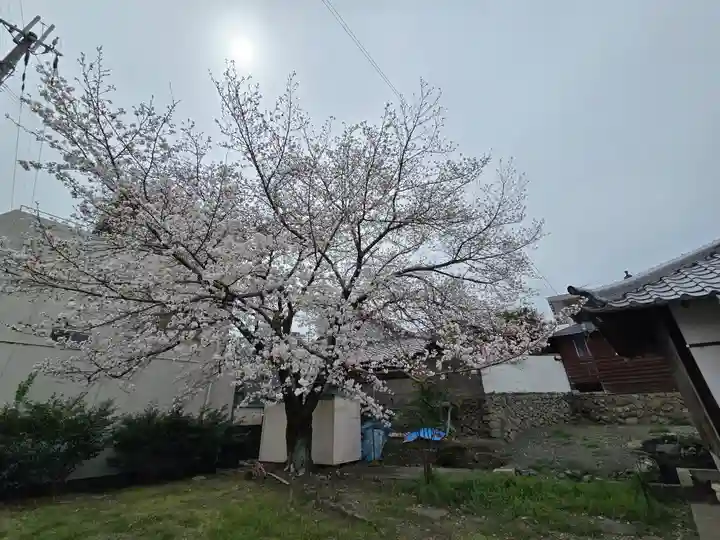 長寿寺(和歌山県)