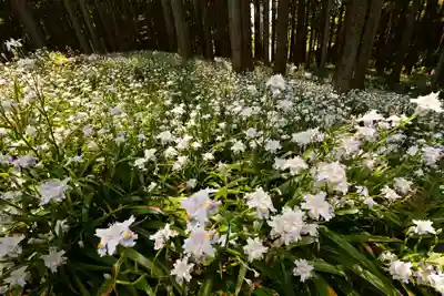 高蔵寺(福島県)