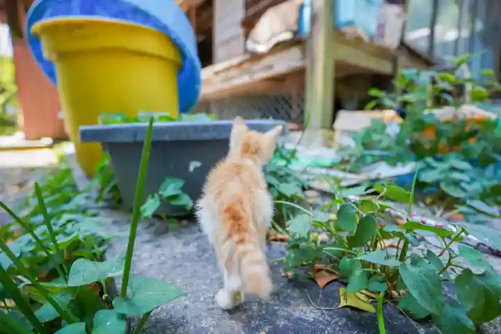 東隆寺(山口県)