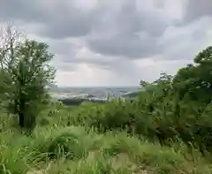 賀茂別雷神社(栃木県)