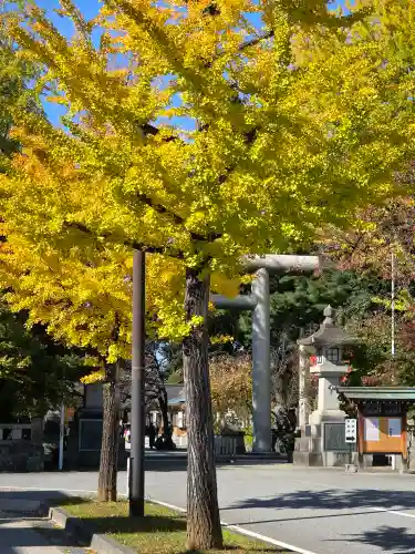 富山縣護國神社の{uncategorized: "未分類", other: "その他", undefined: "問題あり", building: "その他建物", grave: "お墓", sacred_gate: "鳥居", guardian: "狛犬", statue: "像", buddha: "仏像", history: "歴史", nature: "自然", garden: "庭園", animal: "動物", pagoda: "塔", temizu: "手水舎", mountain_gate: "山門・神門", sanctuary: "本殿・本堂", subordinate: "末社・摂社", art: "芸術", scenery: "景色", jizo: "地蔵", ema: "絵馬", goshuin: "御朱印", omikuji: "おみくじ", items: "授与品その他", amulet: "お守り", goshuincho: "御朱印帳", eats: "食事", festival: "お祭り", votive_dance: "神楽", shichigosan: "七五三参", wedding: "結婚式", experience: "体験その他", initially: "初詣", around: "周辺", anti_infection: "感染症対策"}