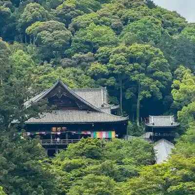 長谷寺(奈良県)
