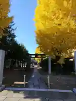 幸宮神社(埼玉県)