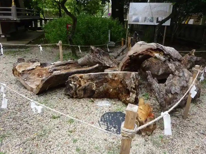 布多天神社の自然