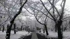 平野神社の建物その他