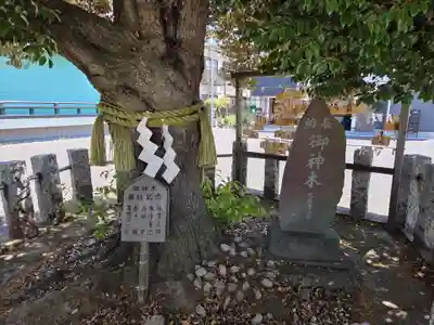 多摩川諏訪神社(東京都)