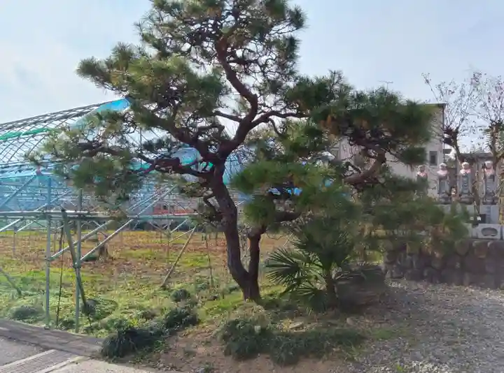 長言寺(埼玉県)