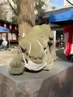 田無神社の狛犬