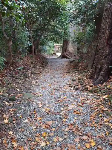 彌彦神社の建物その他