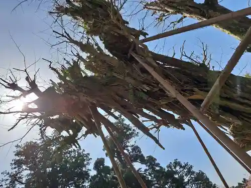 村山浅間神社(静岡県)