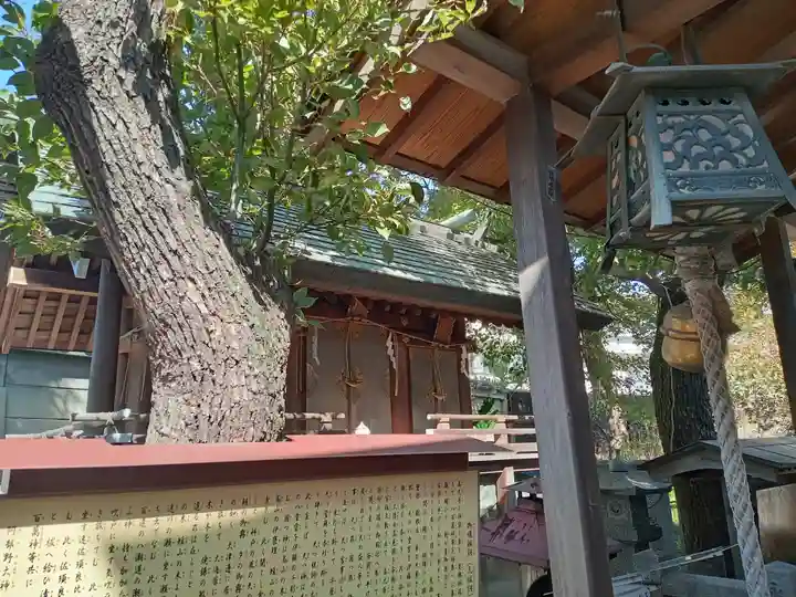阿部野神社(大阪府)