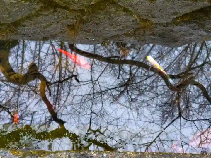 神炊館神社 ⁂奥州須賀川総鎮守⁂(福島県)