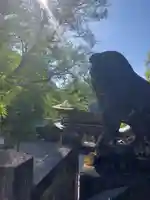 伊奈波神社の狛犬