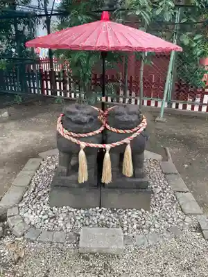 浅草神社の狛犬