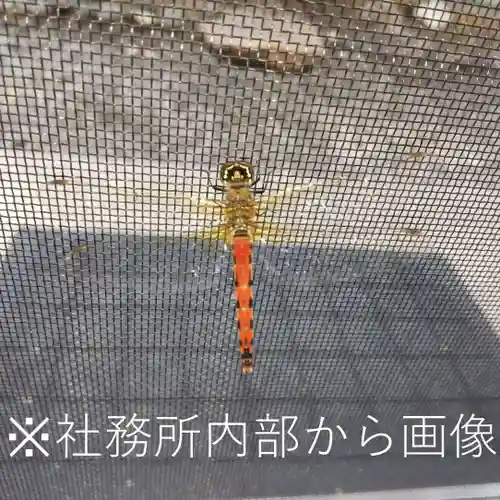 七重浜海津見神社の建物その他