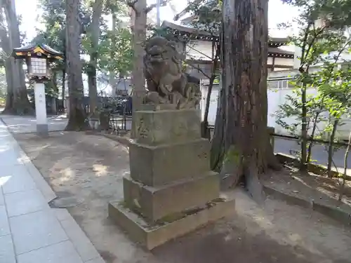 荻窪八幡神社の狛犬