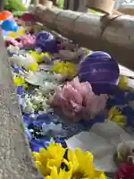 群馬県護国神社の手水舎