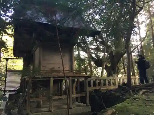 赤猪岩神社の本殿