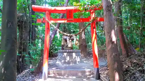 白山媛神社（上条白山媛神社）の鳥居