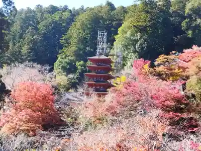長谷寺(奈良県)