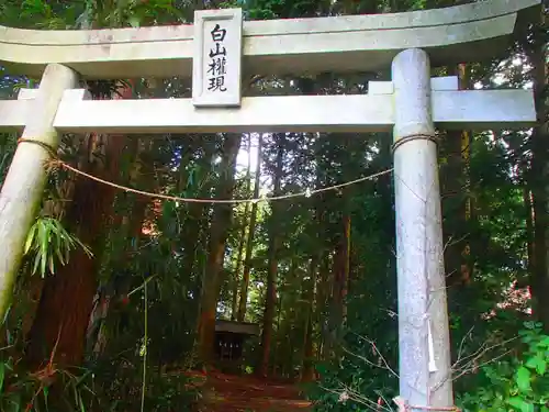 竹佐伊奈神社の鳥居