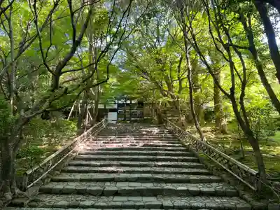 龍安寺(京都府)