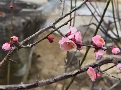 大蓮寺(兵庫県)