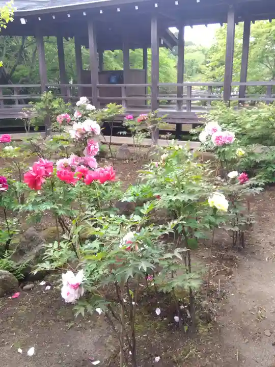 多聞院(埼玉県)