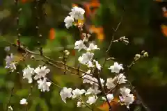 鹿島大神宮の自然