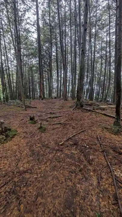 秋葉神社(京都府)