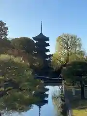 東寺（教王護国寺）(京都府)