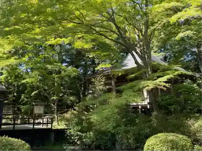 中尊寺(岩手県)