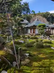 金剛寺(大阪府)