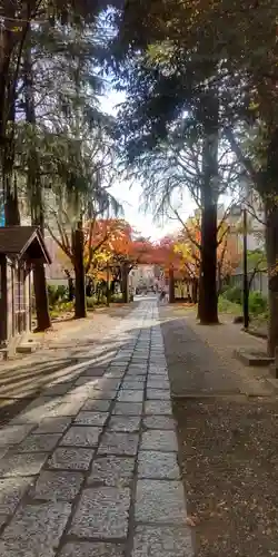 亀戸 香取神社(東京都)