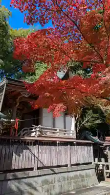 竹中稲荷神社（吉田神社末社）(京都府)