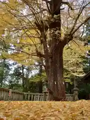 事任八幡宮の景色