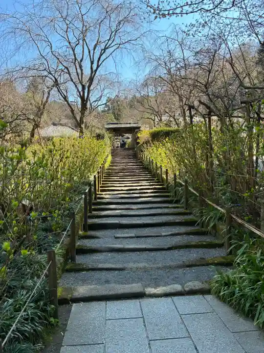 明月院の{uncategorized: "未分類", other: "その他", undefined: "問題あり", building: "その他建物", grave: "お墓", sacred_gate: "鳥居", guardian: "狛犬", statue: "像", buddha: "仏像", history: "歴史", nature: "自然", garden: "庭園", animal: "動物", pagoda: "塔", temizu: "手水舎", mountain_gate: "山門・神門", sanctuary: "本殿・本堂", subordinate: "末社・摂社", art: "芸術", scenery: "景色", jizo: "地蔵", ema: "絵馬", goshuin: "御朱印", omikuji: "おみくじ", items: "授与品その他", amulet: "お守り", goshuincho: "御朱印帳", eats: "食事", festival: "お祭り", votive_dance: "神楽", shichigosan: "七五三参", wedding: "結婚式", experience: "体験その他", initially: "初詣", around: "周辺", anti_infection: "感染症対策"}