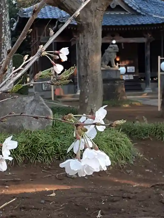 伏木香取神社のその他建物