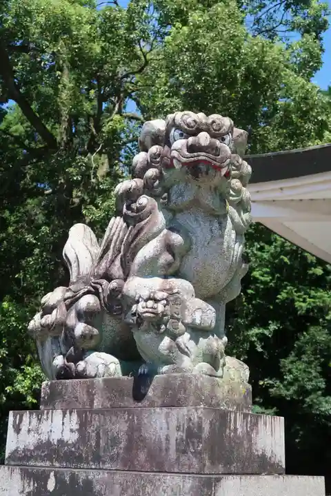 来振神社の狛犬
