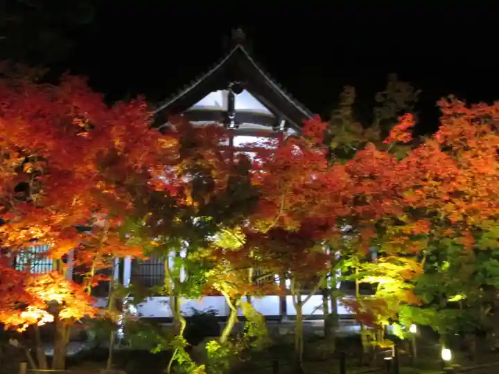 禅林寺(永観堂)の自然
