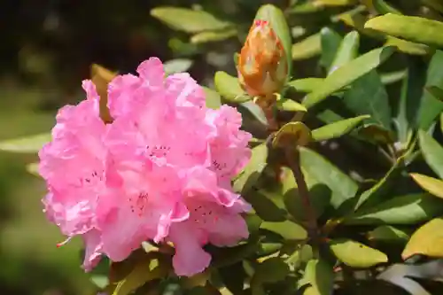 三春大神宮の庭園